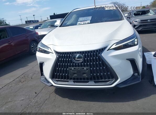 JTJADCAZ4R2011735 2024 LEXUS NX 250 White Widok wnętrza z tyłu