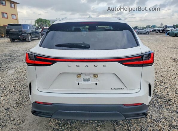 JTJADCAZ9P5010477 2023 LEXUS NX White Vista trasera
