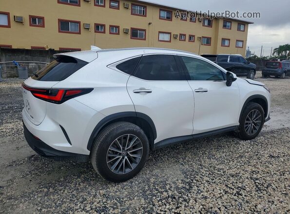 JTJADCAZ9P5010477 2023 LEXUS NX White Trasero derecho