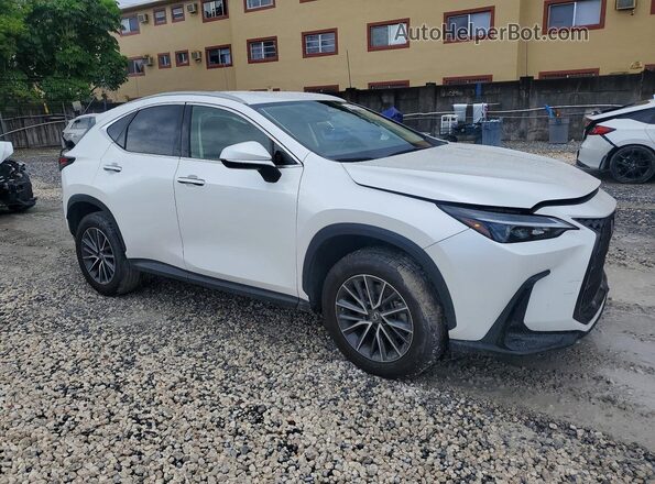 JTJADCAZ9P5010477 2023 LEXUS NX White Delantero derecho