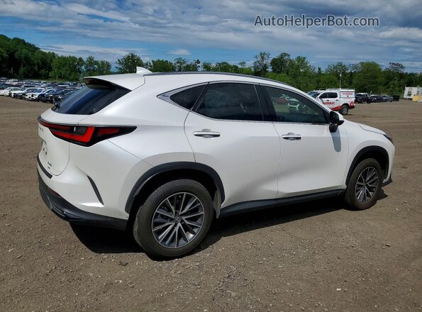 JTJADCEZ1P5000858 2023 LEXUS NX White Tył prawy