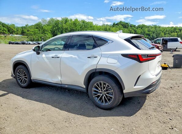 JTJADCEZ1P5000858 2023 LEXUS NX White Tył lewy