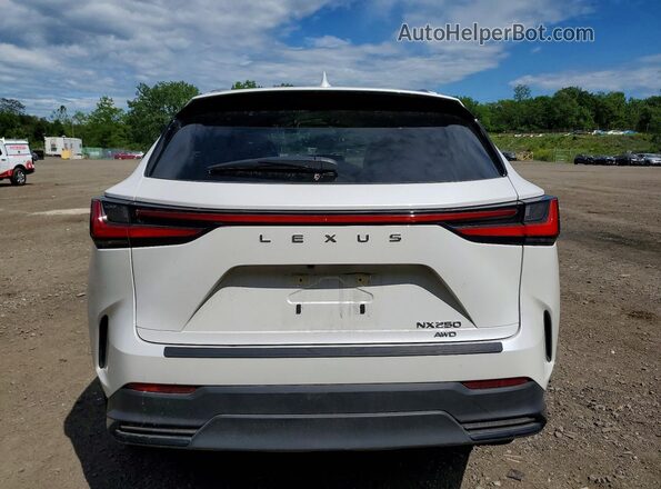 JTJADCEZ1P5000858 2023 LEXUS NX White Widok z tyłu