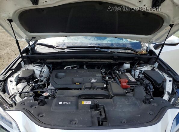JTJADCEZ1P5000858 2023 LEXUS NX White Widok komory silnika
