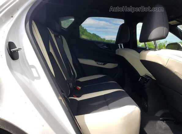 JTJADCEZ1P5000858 2023 LEXUS NX White Widok wnętrza z tyłu