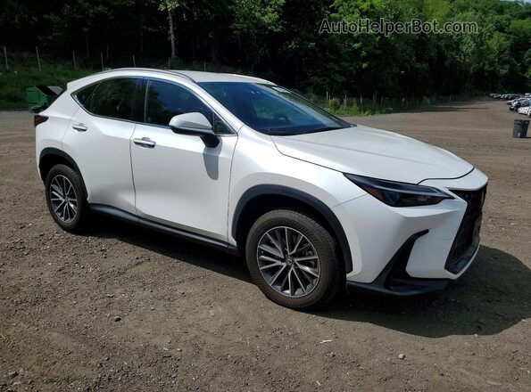 JTJADCEZ1P5000858 2023 LEXUS NX White Przód prawy