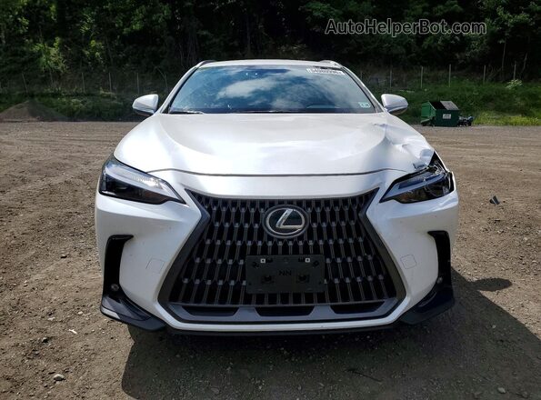 JTJADCEZ1P5000858 2023 LEXUS NX White Widok z przodu