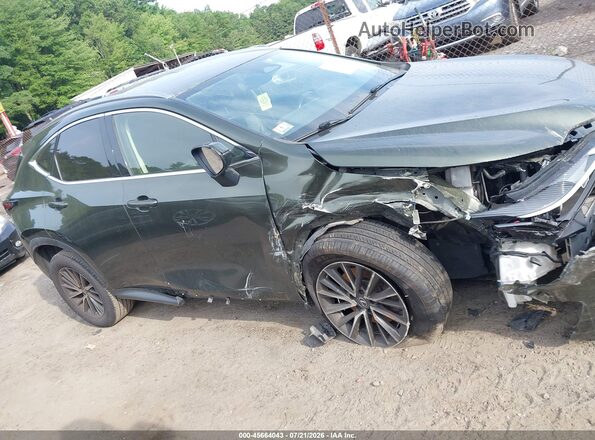 JTJADCEZ6N2000532 2022 LEXUS NX 250 Green Rear interior view