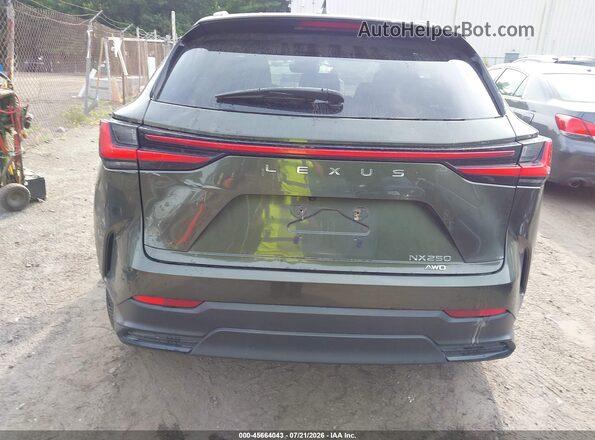 JTJADCEZ6N2000532 2022 LEXUS NX 250 Green 