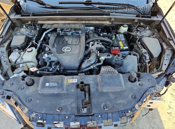 JTJAGCEZ0N2000274 2022 LEXUS NX Черный Вид подкапотного пространства