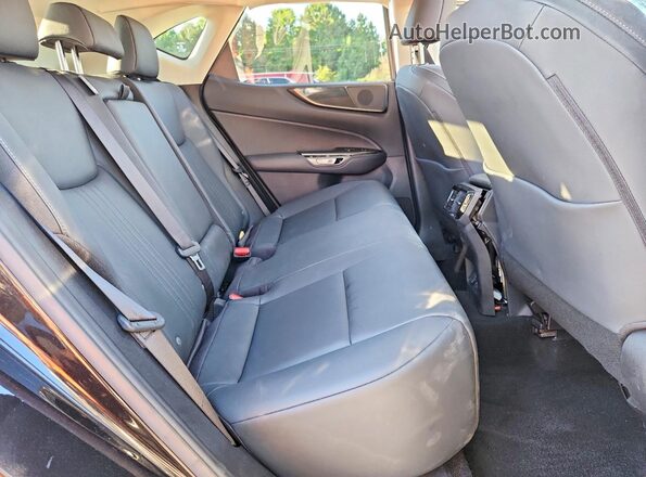 JTJAGCEZ0N2000274 2022 LEXUS NX Черный Вид задней части салона