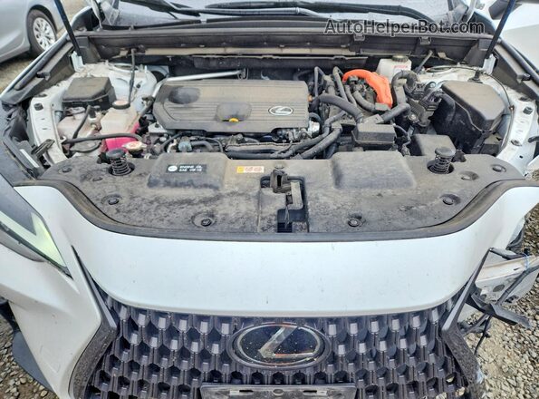 JTJAKCEZ6P5007133 2023 LEXUS NX White Widok komory silnika