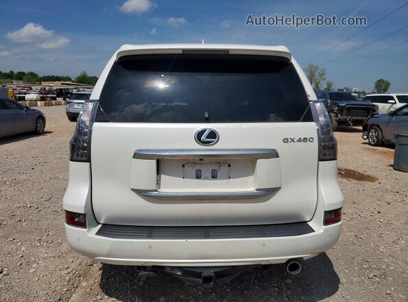 JTJAM7BX1M5296504 2021 LEXUS GX White Հետևի տեսք
