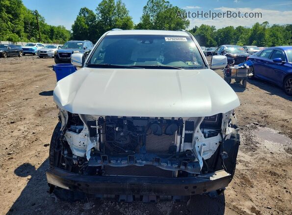 JTJAM7BX4P5377615 2023 LEXUS GX Белый Вид спереди