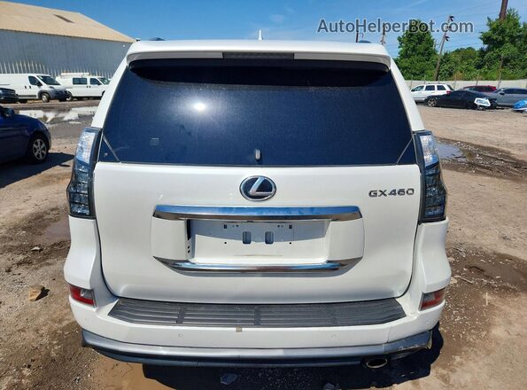JTJAM7BX4P5377615 2023 LEXUS GX Белый Вид сзади
