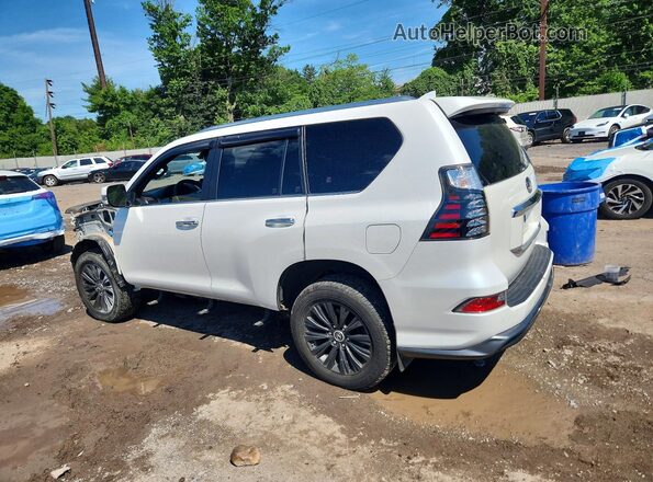 JTJAM7BX4P5377615 2023 LEXUS GX Белый Задняя левая четверть