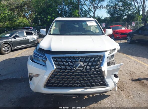 JTJAM7BX6L5264503 2020 LEXUS GX 460 White Instrument cluster view