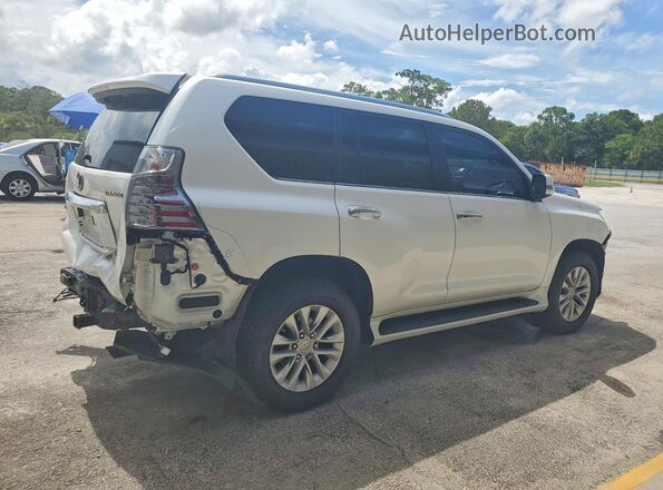 JTJAM7BX6P5373467 2023 LEXUS GX Белый Задняя правая четверть