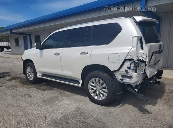 JTJAM7BX6P5373467 2023 LEXUS GX Белый Задняя левая четверть