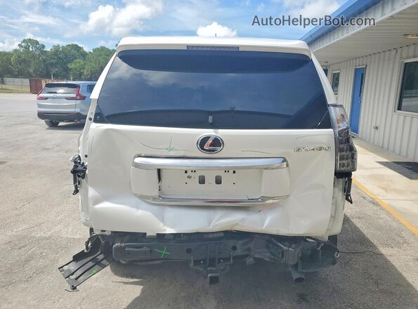 JTJAM7BX6P5373467 2023 LEXUS GX Белый Вид сзади