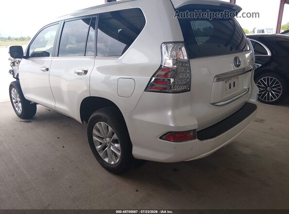 JTJAM7BX6P5384484 2023 LEXUS GX 460 White უკანა მარცხენა