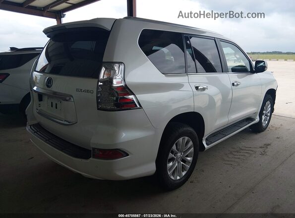 JTJAM7BX6P5384484 2023 LEXUS GX 460 White უკანა მარჯვენა