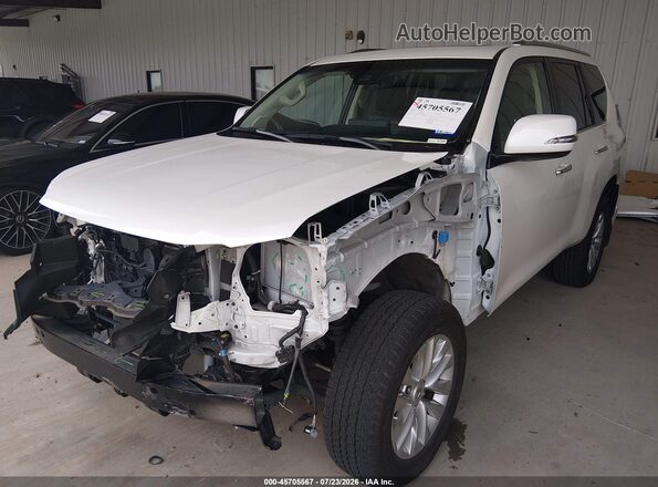 JTJAM7BX6P5384484 2023 LEXUS GX 460 White წინა ხედი