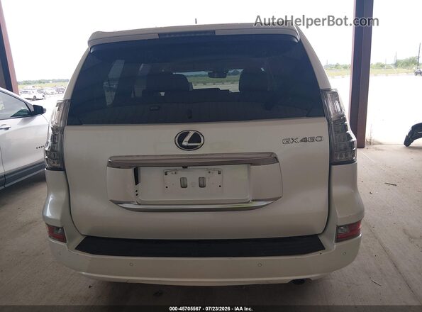 JTJAM7BX6P5384484 2023 LEXUS GX 460 White 