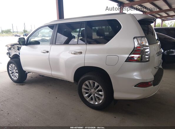 JTJAM7BX6P5384484 2023 LEXUS GX 460 White სალონის 360-გრადუსიანი ხედი