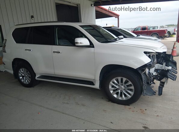 JTJAM7BX6P5384484 2023 LEXUS GX 460 White უკანა სალონის ხედი