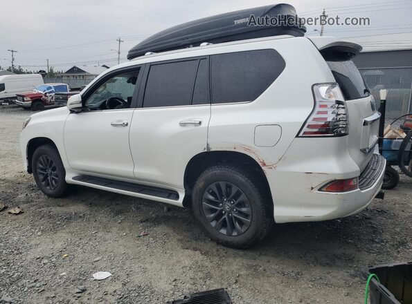JTJAM7BX9P5359403 2023 LEXUS GX White Rear left