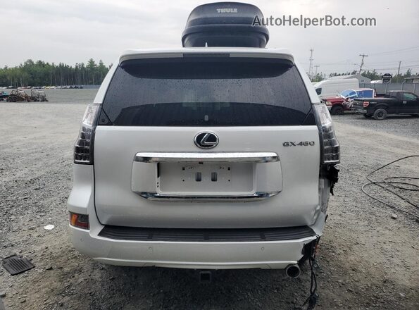 JTJAM7BX9P5359403 2023 LEXUS GX White Rear view