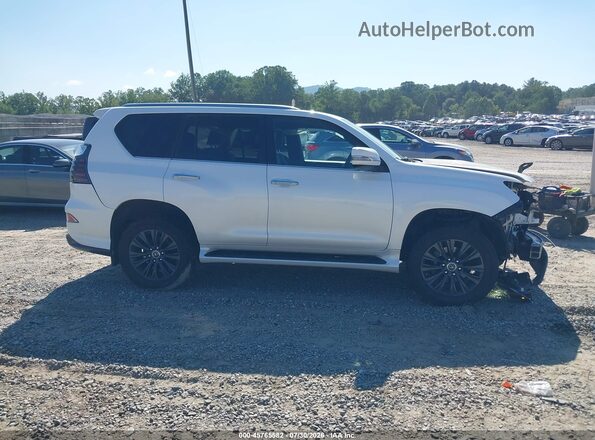 JTJAM7BXXP5359961 2023 LEXUS GX 460 White Widok wnętrza z tyłu