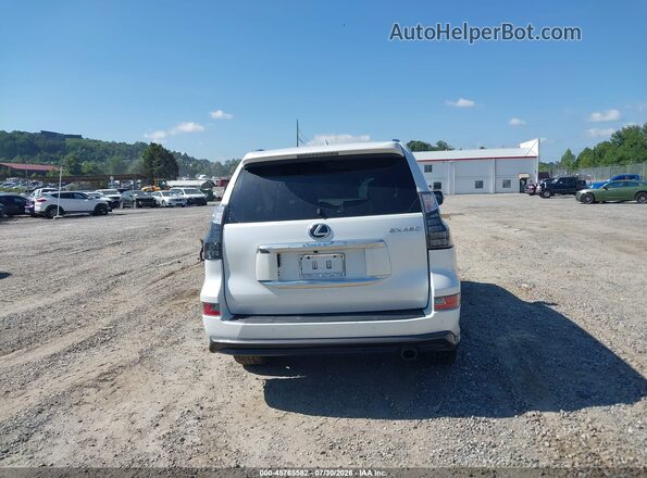 JTJAM7BXXP5359961 2023 LEXUS GX 460 White 