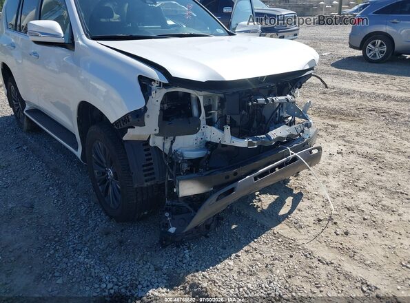 JTJAM7BXXP5359961 2023 LEXUS GX 460 White 