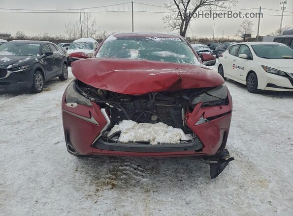 JTJBARBZ0G2048938 2016 LEXUS NX Red Front view