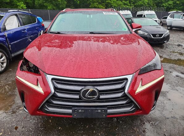 JTJBARBZ0G2053671 2016 LEXUS NX Красный Вид спереди