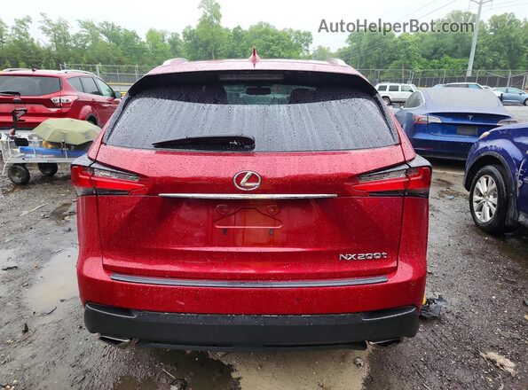 JTJBARBZ0G2053671 2016 LEXUS NX Красный Вид сзади