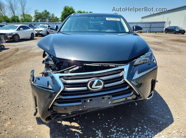 JTJBARBZ1H2135698 2017 LEXUS NX Black Front view