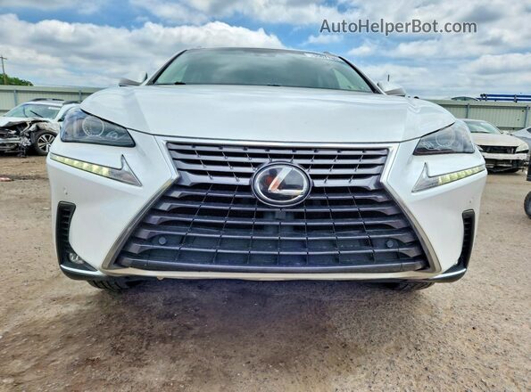 JTJBARBZ1J2162650 2018 LEXUS NX White Դիմացի տեսք
