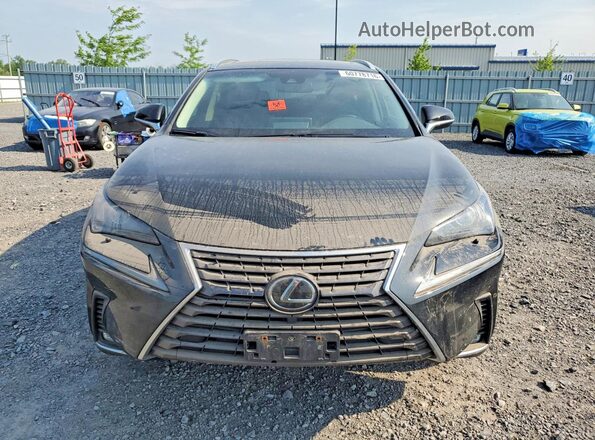 JTJBARBZ1K2209029 2019 LEXUS NX Black წინა ხედი
