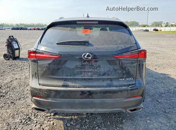 JTJBARBZ1K2209029 2019 LEXUS NX Black უკანა ხედი