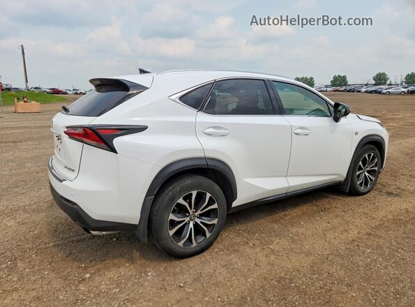 JTJBARBZ2G2067930 2016 LEXUS NX White Հետևի աջ