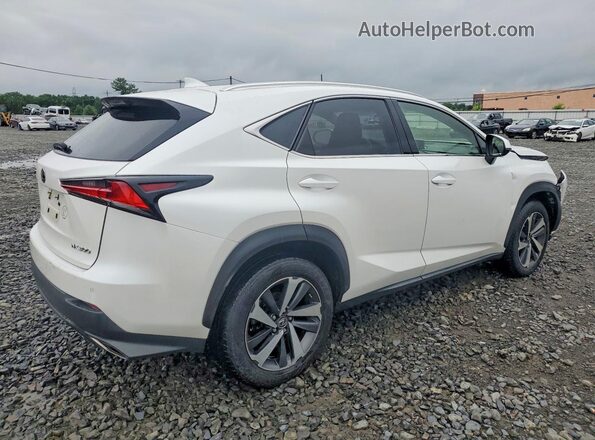 JTJBARBZ2J2165279 2018 LEXUS NX Белый Задняя правая четверть