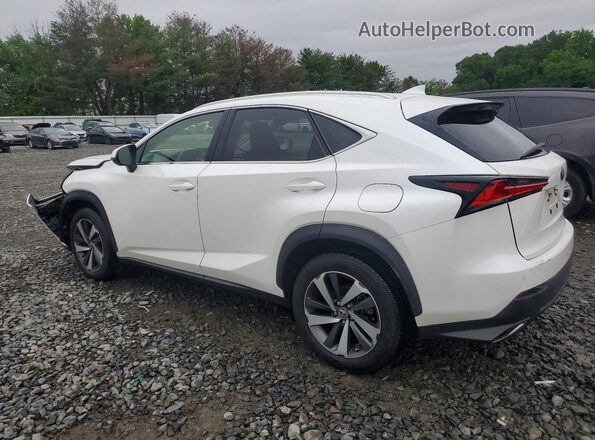JTJBARBZ2J2165279 2018 LEXUS NX Белый Задняя левая четверть