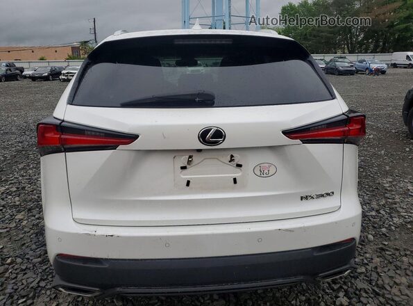 JTJBARBZ2J2165279 2018 LEXUS NX Белый Вид сзади