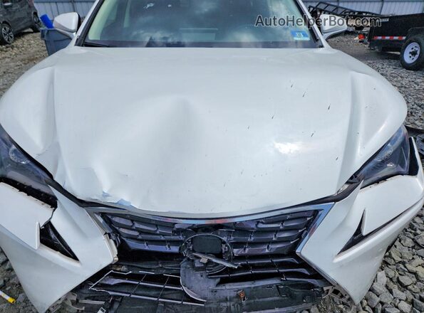 JTJBARBZ2K2193469 2019 LEXUS NX White Engine compartment view