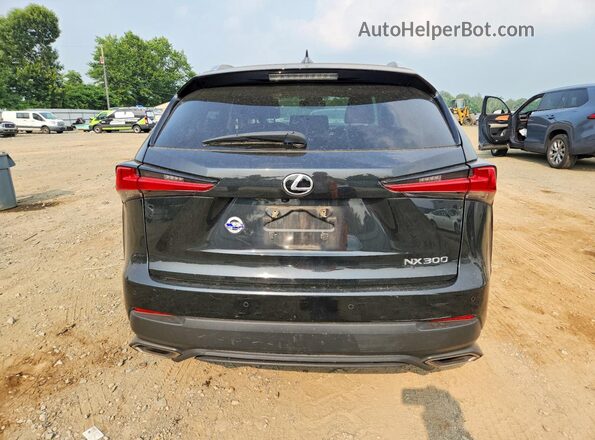 JTJBARBZ2K2197554 2019 LEXUS NX Черный Вид сзади