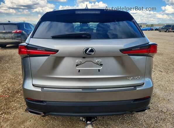 JTJBARBZ3J2163587 2018 LEXUS NX Silver Vista trasera