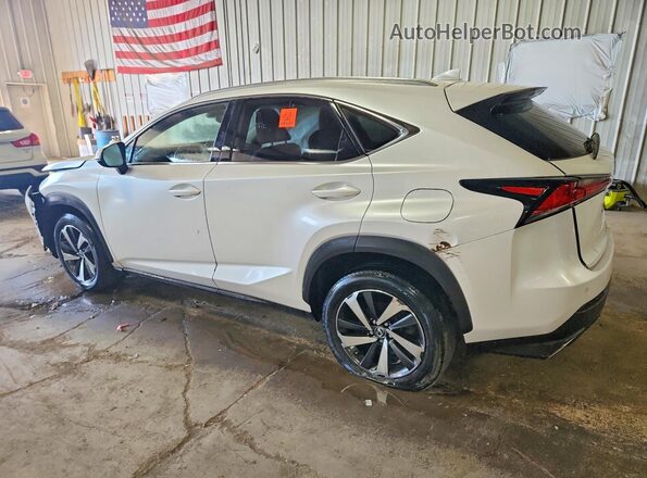 JTJBARBZ3J2166246 2018 LEXUS NX Белый Задняя левая четверть